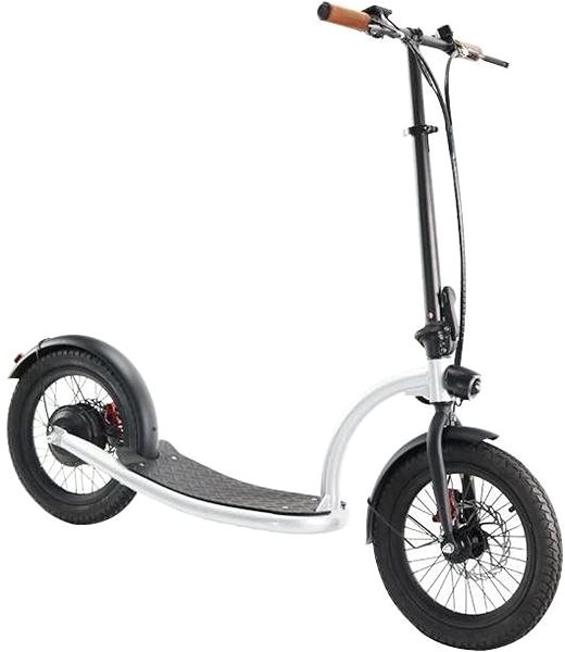 Electric scooter Eljet EVO16 .