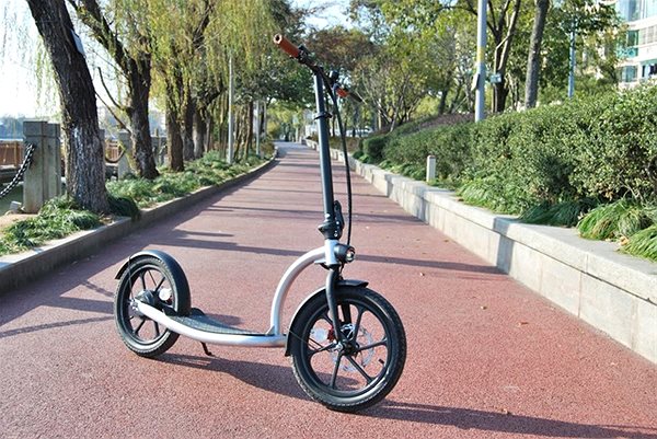 Electric scooter Eljet EVO16 .