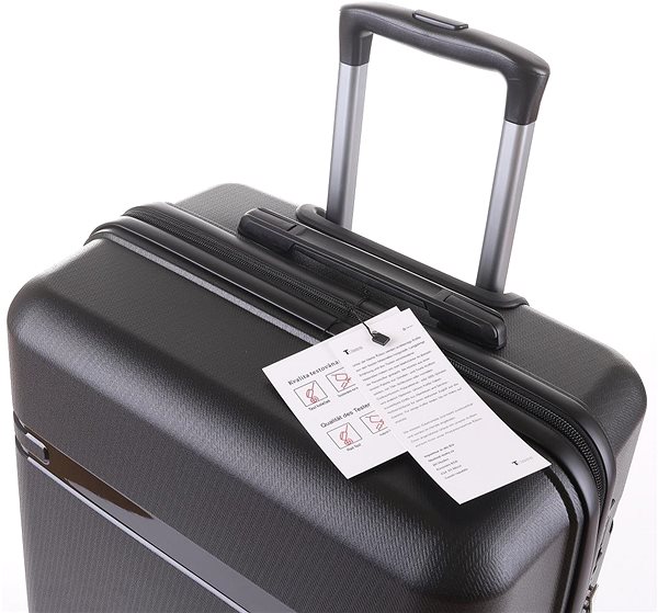 Travel case T-class - Travel case 2213, black, L .