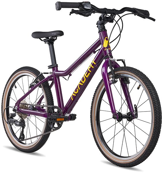 Kids bike Academy Grade 4 20-8S Microshift purple .