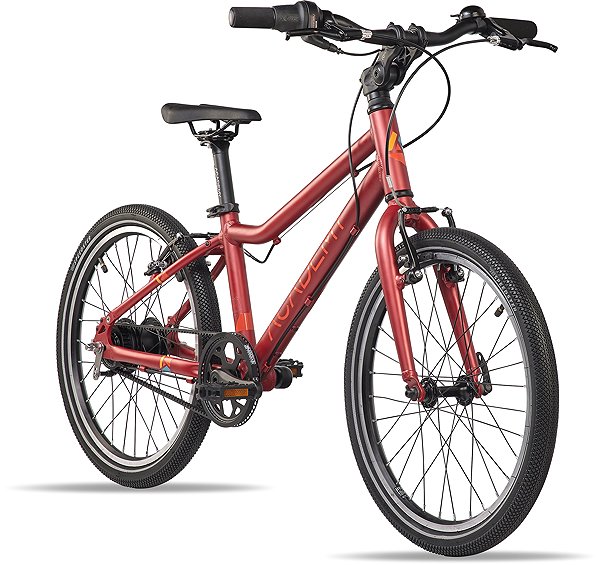 Kids bike Academy Grade 4 20-7S Nexus belt red .