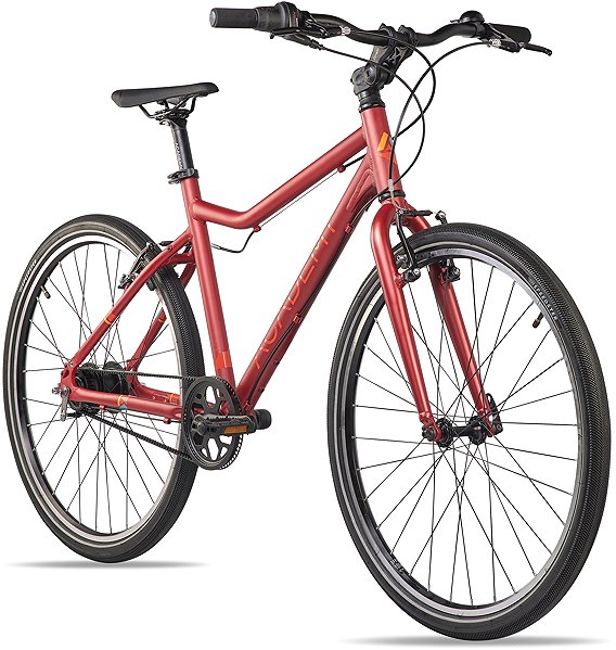 Kids bike Academy Grade 6 26-7S Nexus belt red .