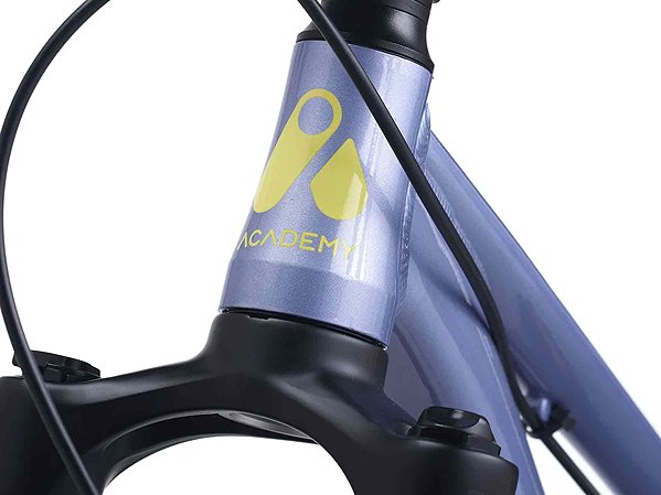 Children's bike ACADEMY S-GRADE Pump 4 Frost .