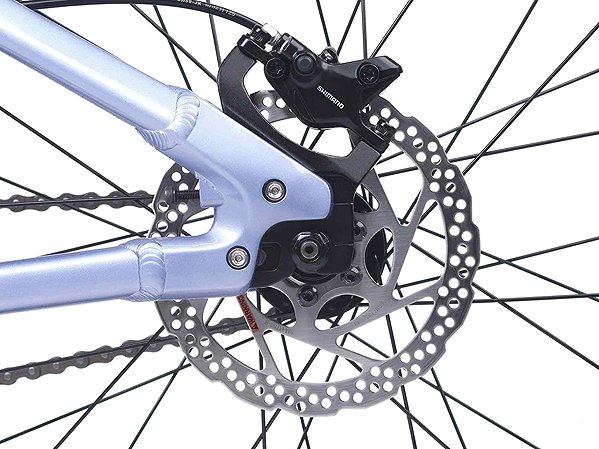 Children's bike ACADEMY S-GRADE Pump 4 Frost .