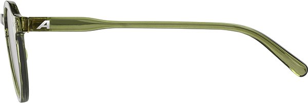 Cycling Glasses Alpina Sneek green-transparent gloss ...