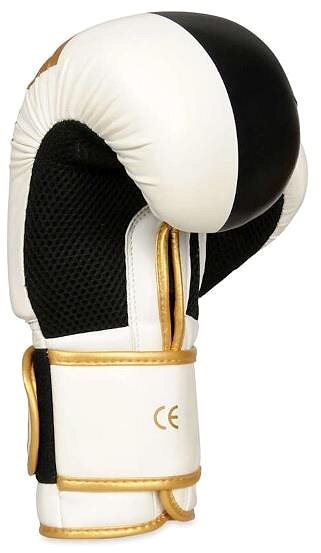 Boxing gloves DBX BUSHIDO B-2V16 8 OZ Boxing gloves .