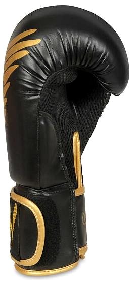 Boxing gloves DBX BUSHIDO B-2v17 10 OZ Boxing gloves .