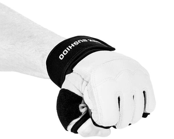 Boxing gloves DBX BUSHIDO DBX-T-1 Karate gloves L .