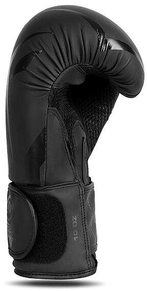 Boxing gloves DBX BUSHIDO B-2V22 12 oz boxing gloves .