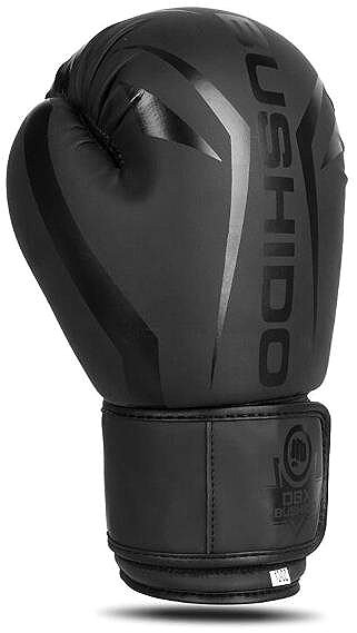 Boxing gloves DBX BUSHIDO B-2V22 16 oz boxing gloves .