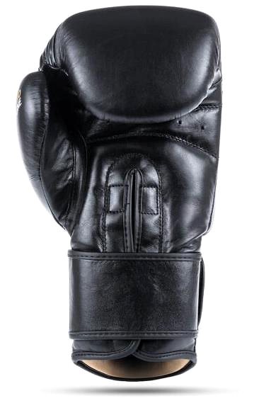 Boxing gloves DBX BUSHIDO Boxing gloves 10 OZ DBX Striker .