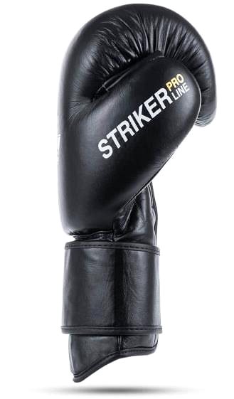 Boxing gloves DBX BUSHIDO Boxing gloves 12 OZ DBX Striker .