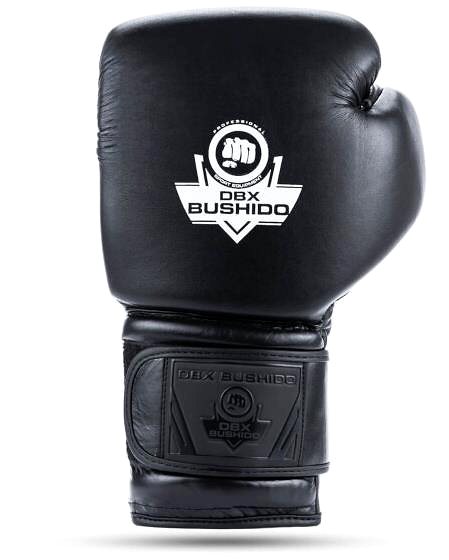 Boxing gloves DBX BUSHIDO Boxing gloves 10 CZ DBX B-ProFight .