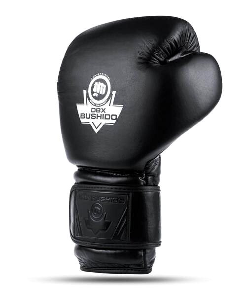 Boxing gloves DBX BUSHIDO Boxing gloves 14 CZ DBX B-ProFight .