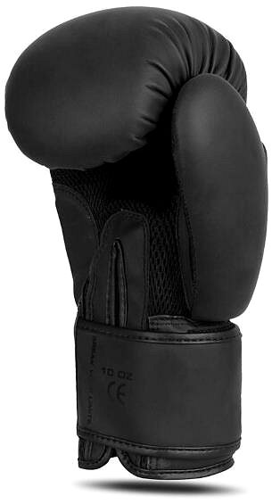 Boxing gloves DBX BUSHIDO B-2v21, size 10 oz. .