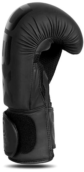 Boxing gloves DBX BUSHIDO B-2v21, size 12 oz. .