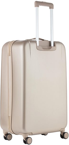 Travel case CARRY ON Skyhopper Champagne size. L .