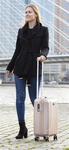 Travel case CARRY ON Skyhopper Champagne size. L .