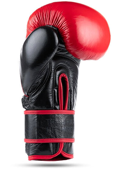 Boxing gloves DBX BUSHIDO Warrior Red S .
