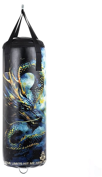 Boxing bag DBX BUSHIDO 75 / 25 cm empty boxing bag Dragon .