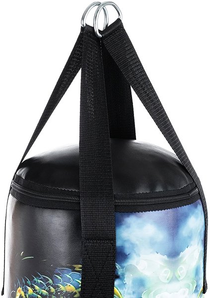 Boxing bag DBX BUSHIDO 75 / 25 cm empty boxing bag Dragon .