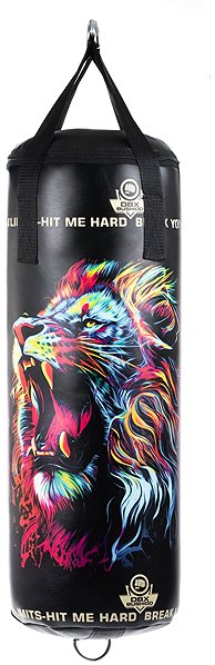 Boxing bag DBX BUSHIDO 75 / 25 cm empty boxing bag Leon .