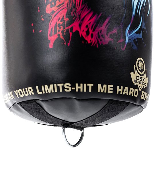 Boxing bag DBX BUSHIDO 75 / 25 cm empty boxing bag Leon .