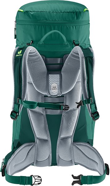 Detský ruksak Deuter Fox 40 alpinegreen-forest Zadná strana