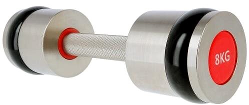 Dumbbells Chrome professional dumbbells HMS PREMIUM HH08 2 x 8 kg .