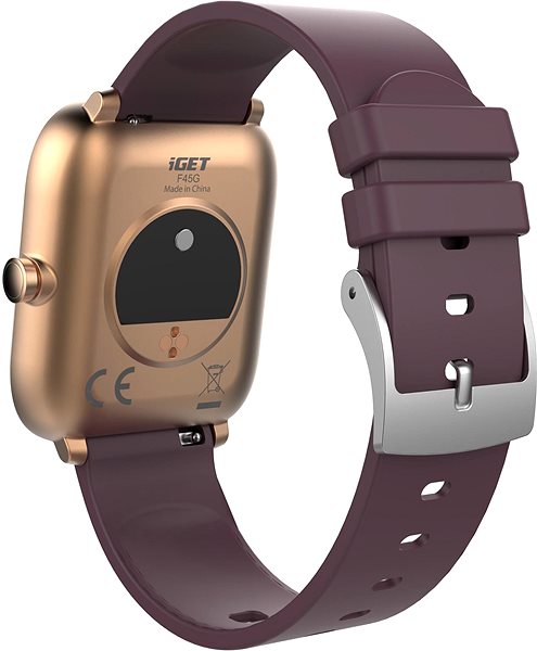 Smart Watch iGET FIT F45 Gold Back page