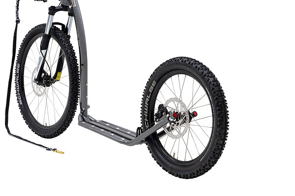 Scooter Cube Mushing Max (G6) Limited Edition Antic Silver .