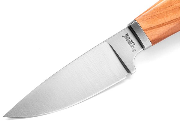Hunting knife Lionsteel Willy WL1 UL .