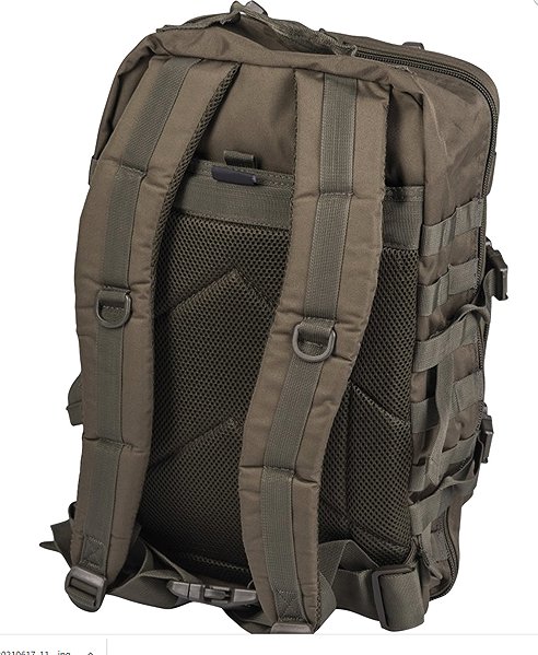 Backpack Mil-Tec Backpack Assault LG olive .