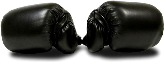 Boxing gloves Boxing gloves MASTER TG8 children .