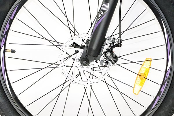 Detský bicykel Canull XC 241 biela/fialová 24