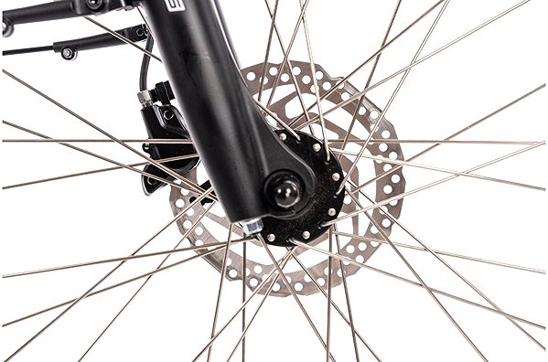 Electric bike Olpran Tilia 28