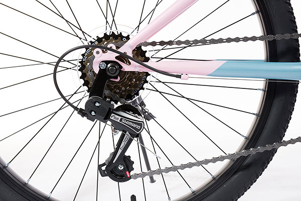 Kids bike Olpran Formica girl grey/green/pink 24