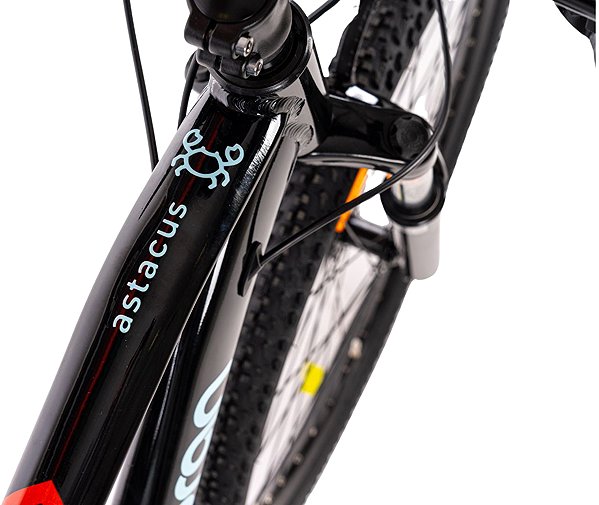 Mountain bike Olpran Astacus man 29