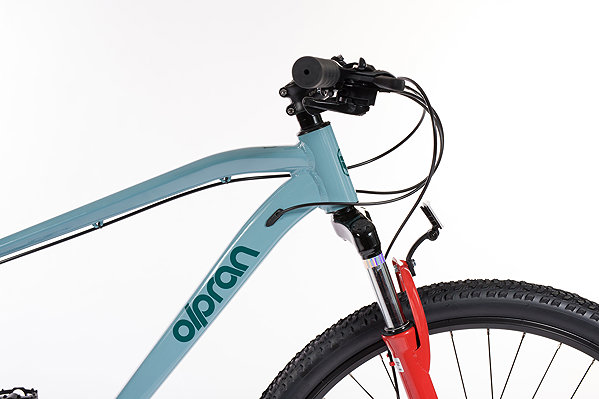 Mountain bike Olpran Canis man 29