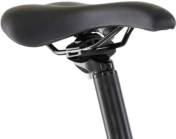 Electric bike Canull Profi 29