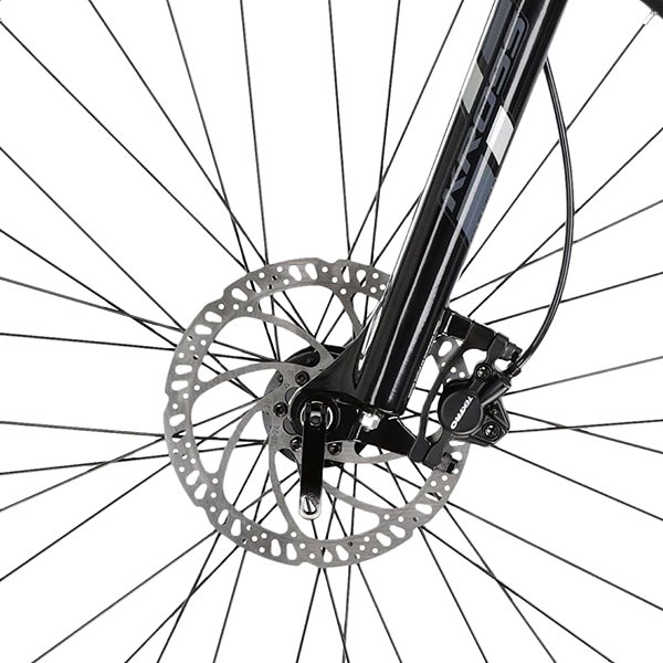 Electric bike Canull Profi 29