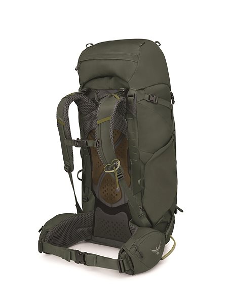 Hiking backpack Osprey Kestrel 58 Bonsai Green .