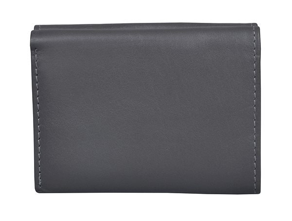 Wallet Women's leather wallet SEGALI 1756 grey Back side