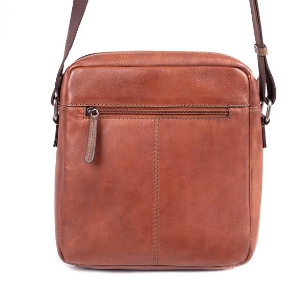 Shoulder bag Shoulder bag leather SEGALI 29405 tan Back side