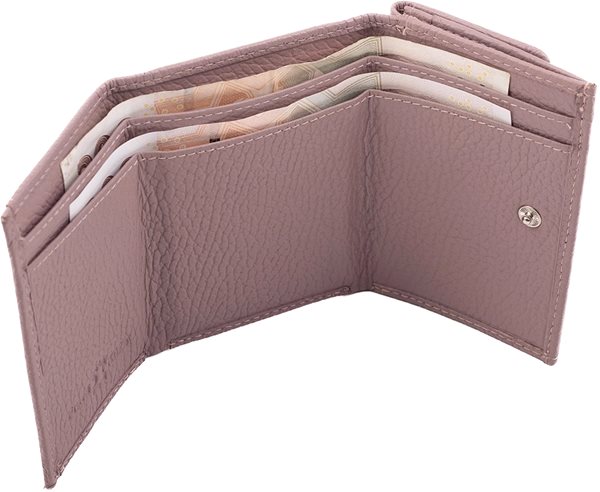 Wallet SEGALI 1756 B cameo rose .