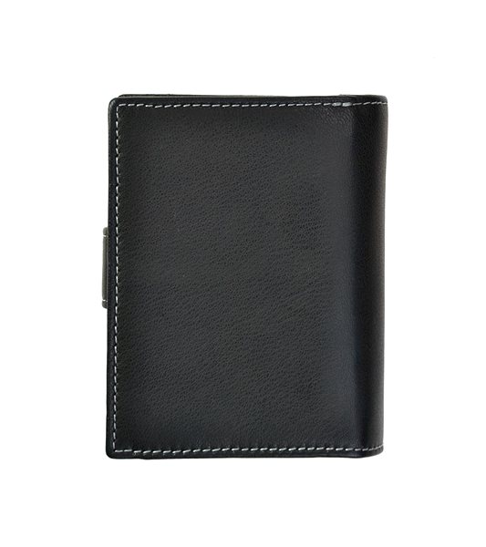 Wallet SEGALI 7319 black .