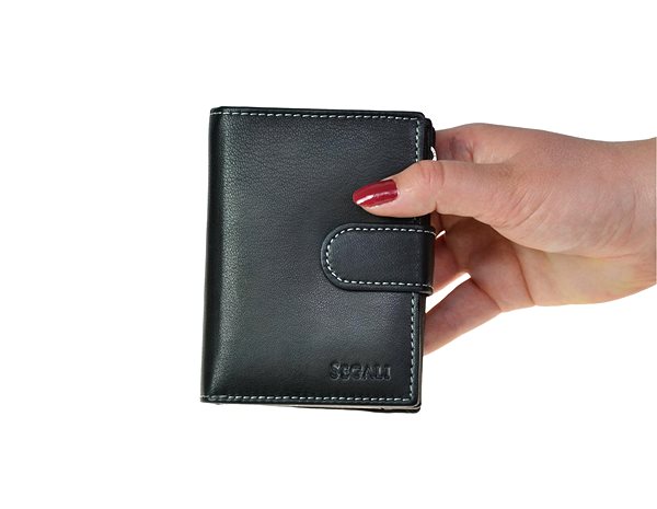 Wallet SEGALI 7319 black .
