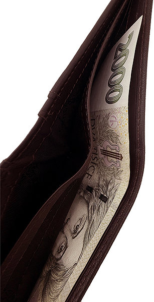 Samsonite Attack 2 SLG 050 wallet brown .