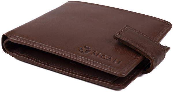 Wallet SEGALI 491 brown .
