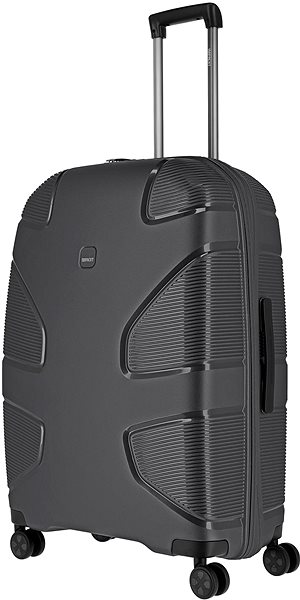 Travel case IMPACKT IP1 L Iron grey .